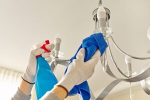 Discover how to get rid of flies inside and outside at home with essential oils and DIY traps. Safe, keep your home fly-free.